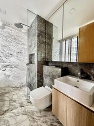 The Peak @ Cairnhill II (D9), Apartment #469103011